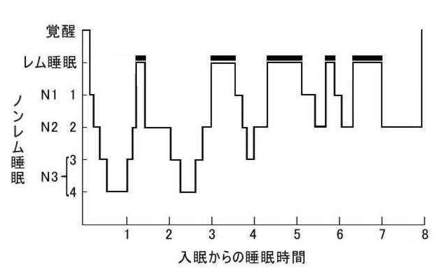 図2　健康な人の一晩の睡眠経過図